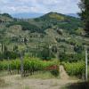 Colline di Bacchereto.