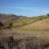 le colline della vernaccia