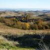 le colline della vernaccia