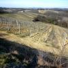 La  campagna  sulla via della Vernaccia