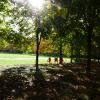 Giardino di Porta Romana  in autunno