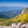 Le Alpi Apuane sullo sfondo