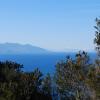 Vista sull' Elba e la Corsica.